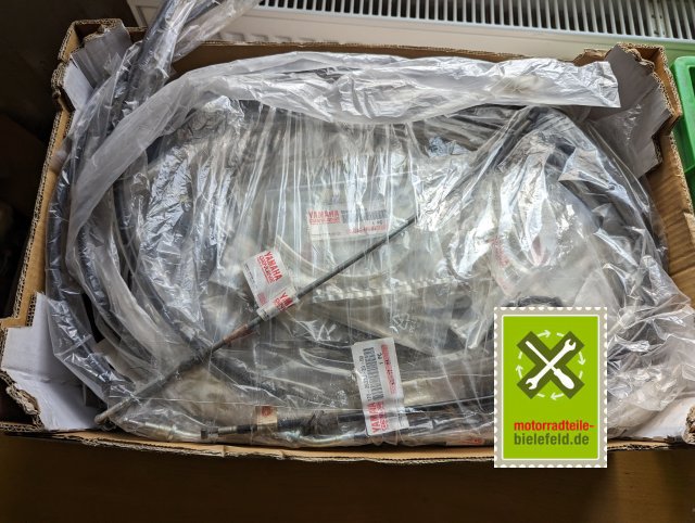 PXL_20240510_150333683
